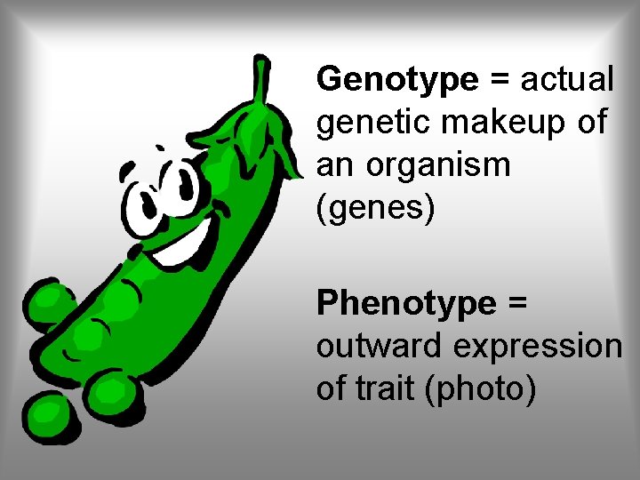 Genotype = actual genetic makeup of an organism (genes) Phenotype = outward expression of