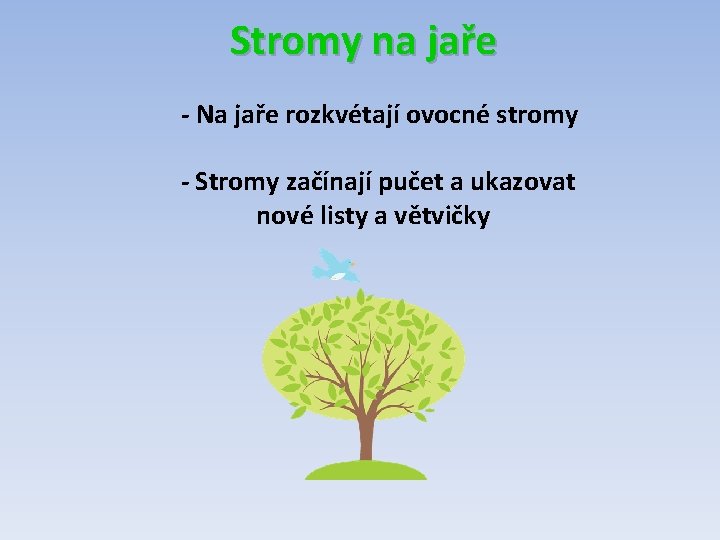 Stromy na jaře - Na jaře rozkvétají ovocné stromy - Stromy začínají pučet a