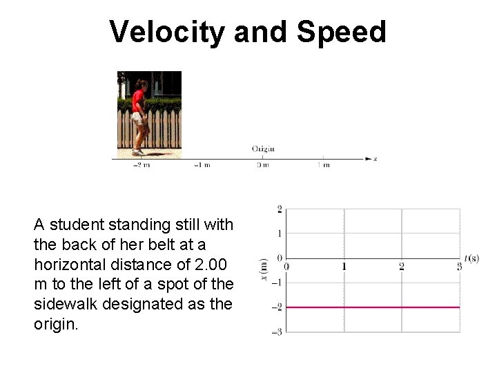 Velocity and Speed A student standing still with the back of her belt at