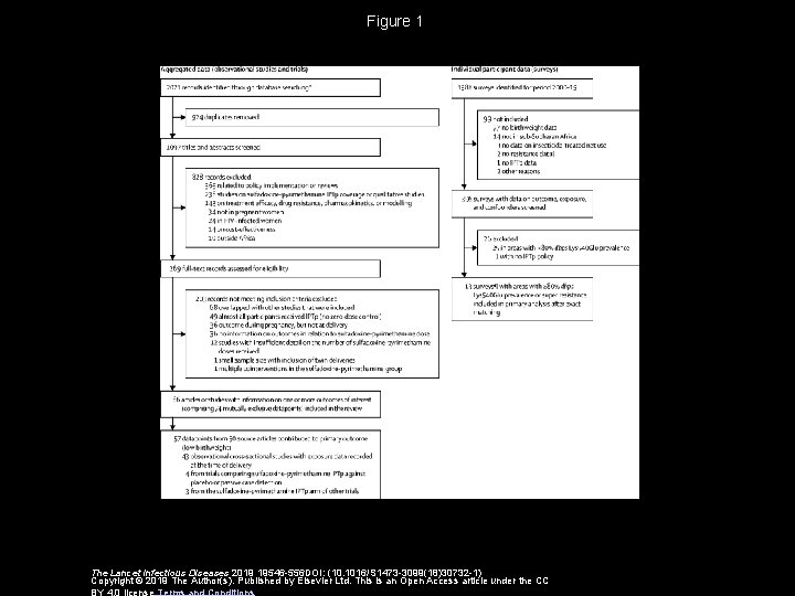 Figure 1 The Lancet Infectious Diseases 2019 19546 -556 DOI: (10. 1016/S 1473 -3099(18)30732