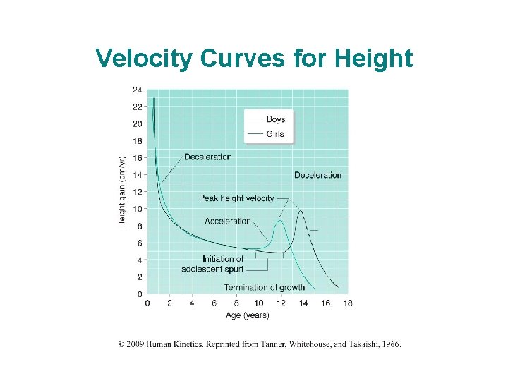 Velocity Curves for Height 