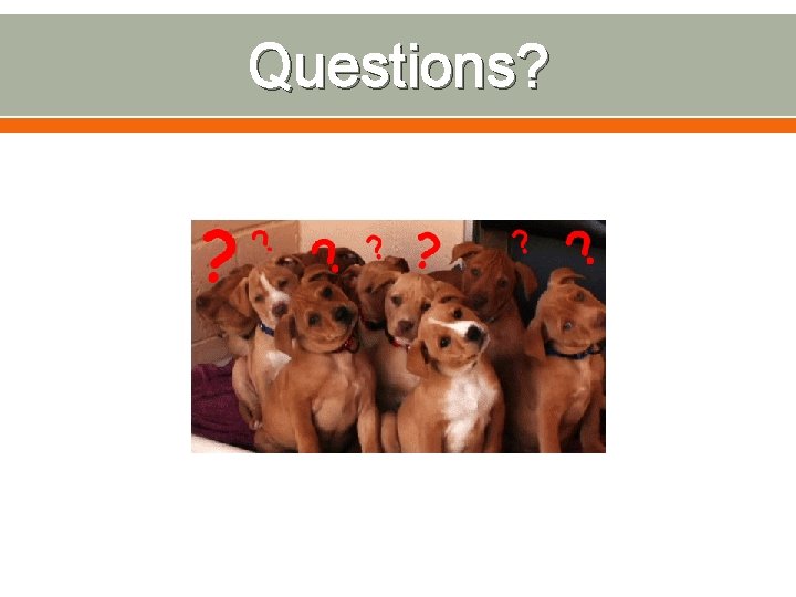 Questions? 