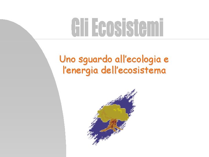 Uno sguardo all’ecologia e l’energia dell’ecosistema 