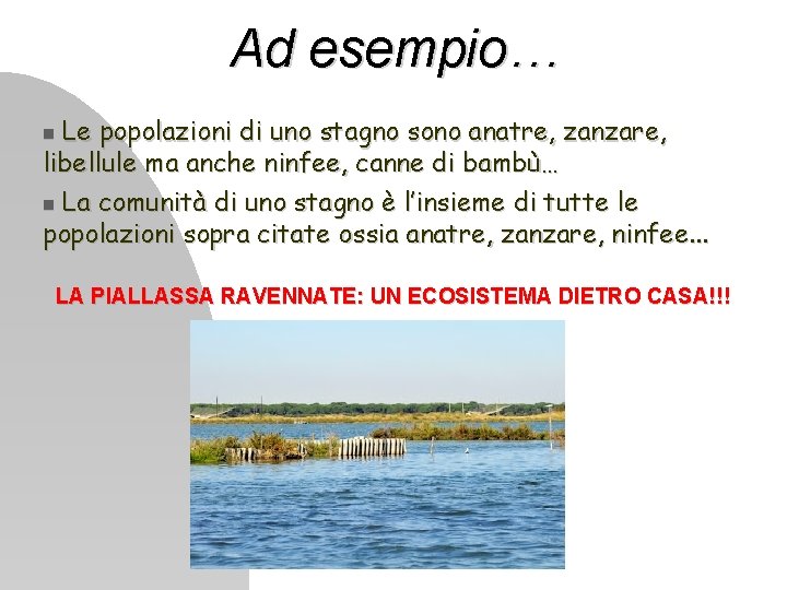 Ad esempio… Le popolazioni di uno stagno sono anatre, zanzare, libellule ma anche ninfee,