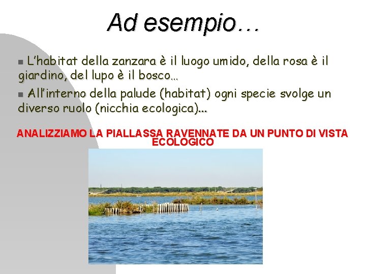 Ad esempio… L’habitat della zanzara è il luogo umido, della rosa è il giardino,