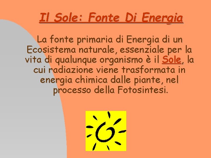Il Sole: Fonte Di Energia La fonte primaria di Energia di un Ecosistema naturale,