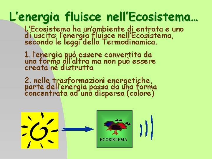 L’energia fluisce nell’Ecosistema… L’Ecosistema ha un’ambiente di entrata e uno di uscita: l’energia fluisce