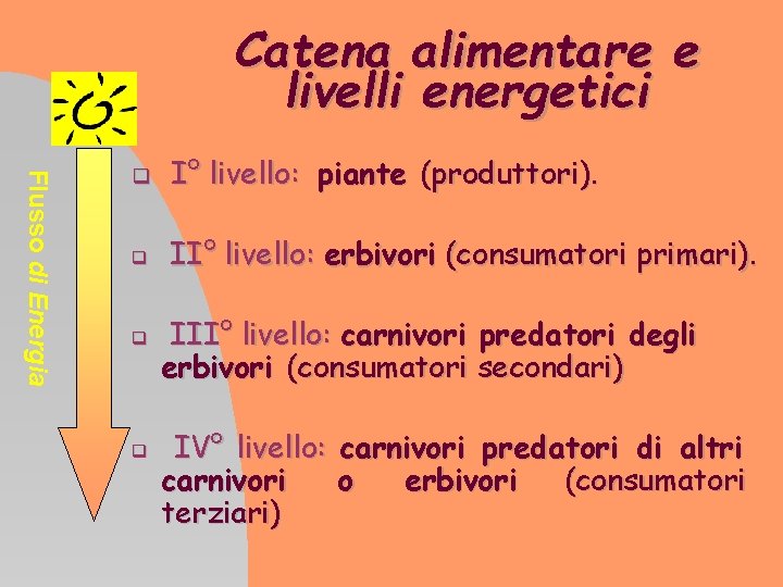 Catena alimentare e livelli energetici Flusso di Energia I° livello: piante (produttori). II° livello: