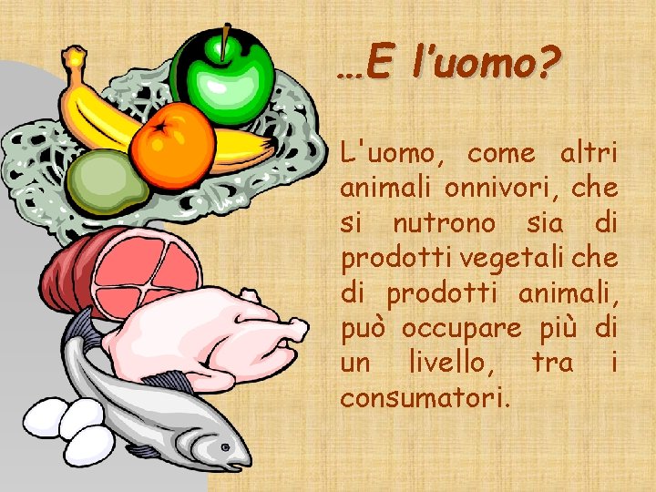…E l’uomo? L'uomo, come altri animali onnivori, che si nutrono sia di prodotti vegetali
