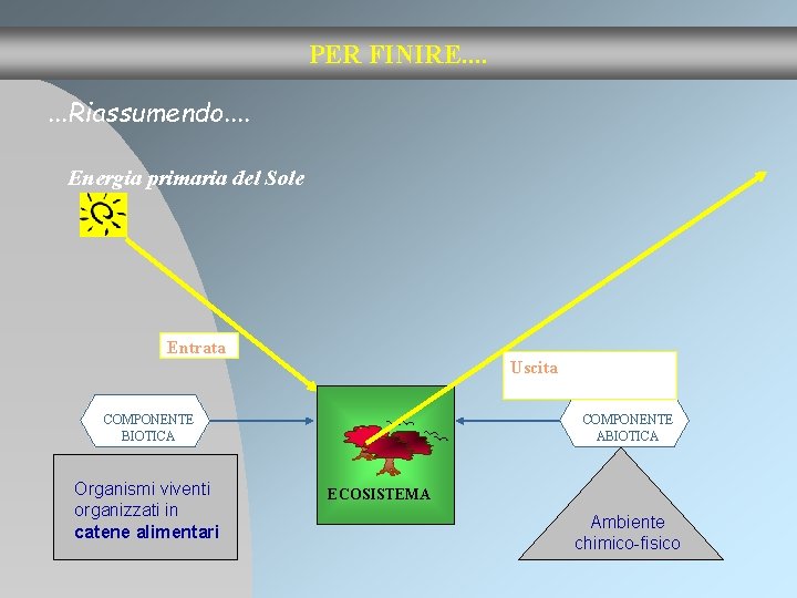 PER FINIRE. . . . Riassumendo. . Energia primaria del Sole Entrata Uscita COMPONENTE