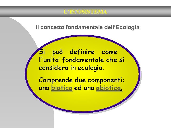 L’ECOSISTEMA Il concetto fondamentale dell’Ecologia Si può definire come l'unita’ fondamentale che si considera