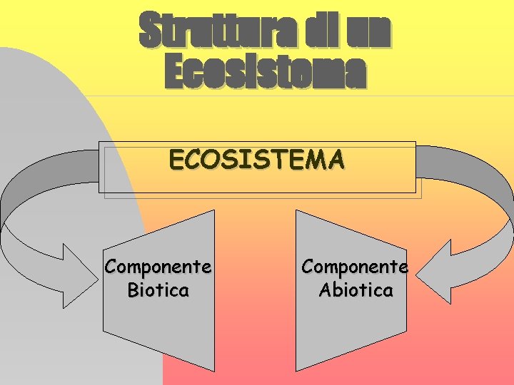 Struttura di un Ecosistema ECOSISTEMA Componente Biotica Componente Abiotica 