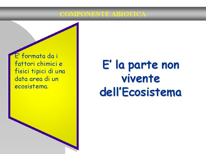 COMPONENTE ABIOTICA E’ formata da i fattori chimici e fisici tipici di una data