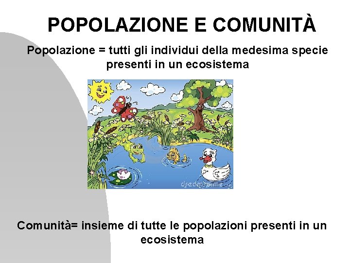 POPOLAZIONE E COMUNITÀ Popolazione = tutti gli individui della medesima specie presenti in un