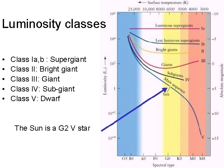 Luminosity classes • • • Class Ia, b : Supergiant Class II: Bright giant