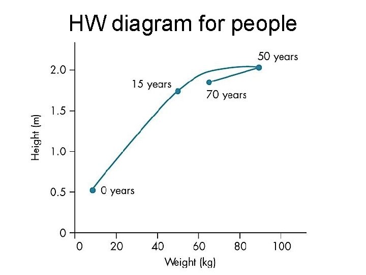 HW diagram for people 