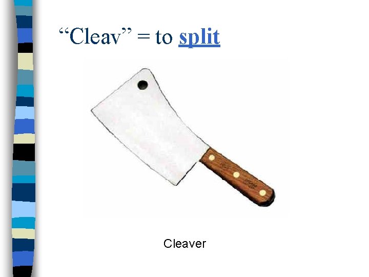 “Cleav” = to split Cleaver 