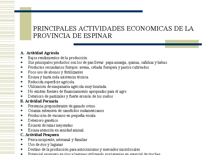 PRINCIPALES ACTIVIDADES ECONOMICAS DE LA PROVINCIA DE ESPINAR A. Actividad Agrícola w Bajos rendimientos