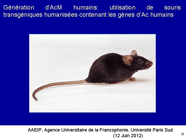 Génération d’Ac. M humains: utilisation de souris transgéniques humanisées contenant les gènes d’Ac humains
