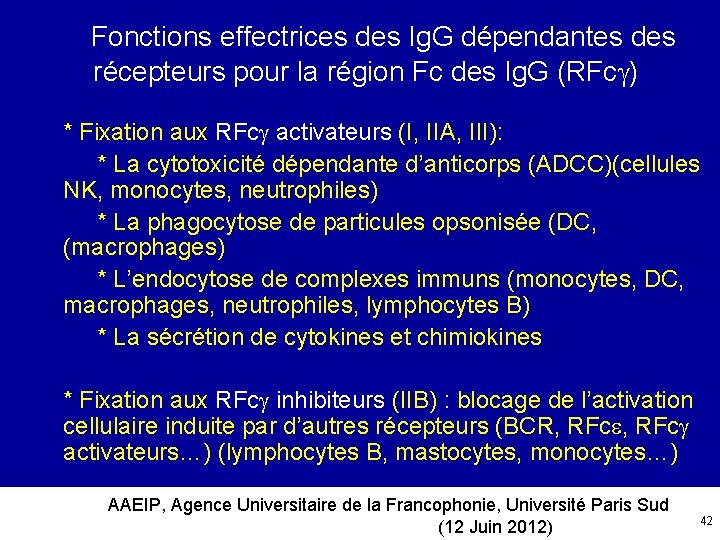  Fonctions effectrices des Ig. G dépendantes des récepteurs pour la région Fc des