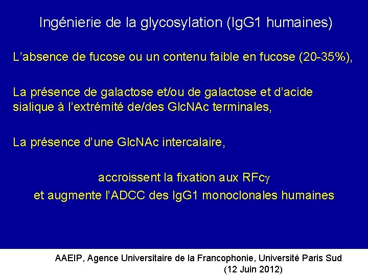 Ingénierie de la glycosylation (Ig. G 1 humaines) L’absence de fucose ou un contenu