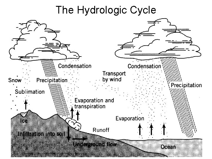 The Hydrologic Cycle 