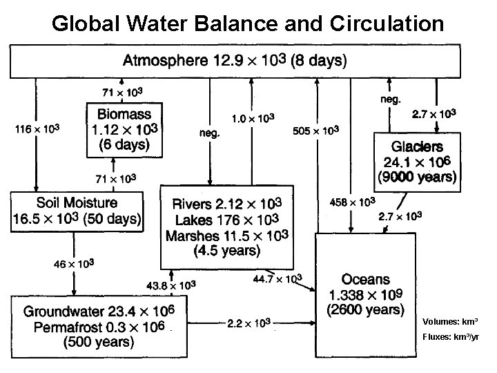 Global Water Balance and Circulation Volumes: km 3 Fluxes: km 3/yr 