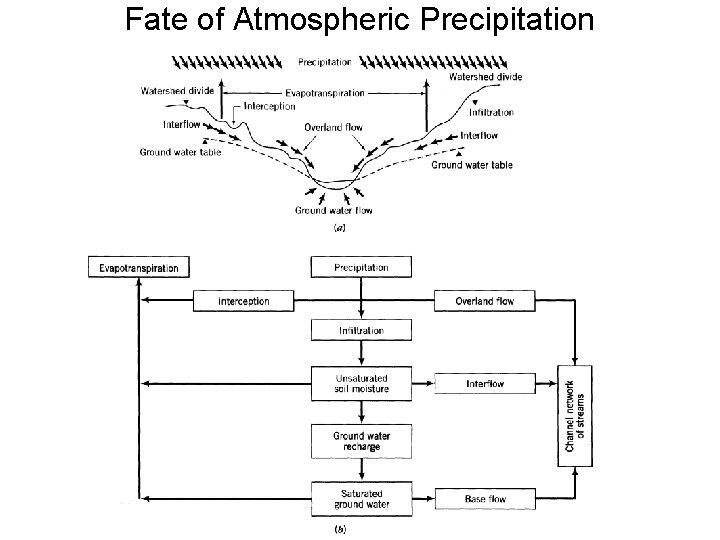 Fate of Atmospheric Precipitation 