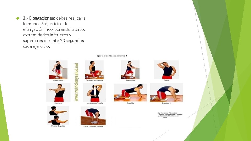 COLEGIO QUINTO CENTENARIO CORDILLERA Educacin Fsica Y Salud