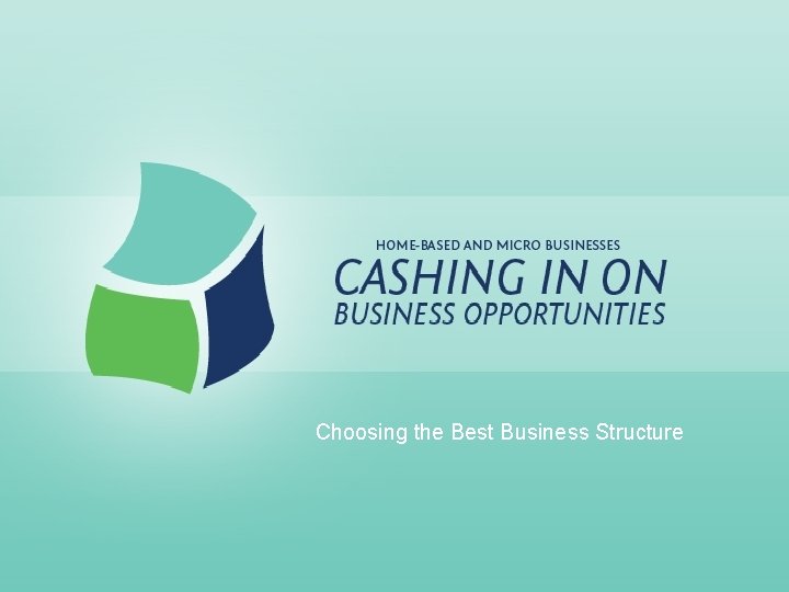 Choosing the Best Business Structure 