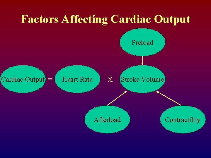 Factors Affecting Cardiac Output Preload Cardiac Output = Heart Rate X Afterload Stroke Volume