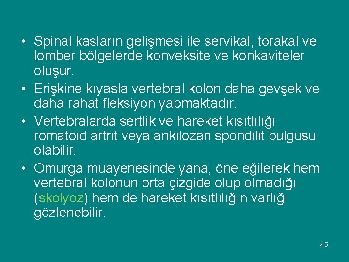  • Spinal kasların gelişmesi ile servikal, torakal ve lomber bölgelerde konveksite ve konkaviteler