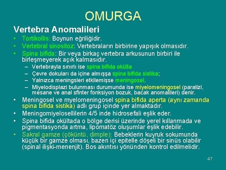 OMURGA Vertebra Anomalileri • Tortikollis: Boynun eğriliğidir. • Vertebral sinositoz: Vertebraların birbirine yapışık olmasıdır.