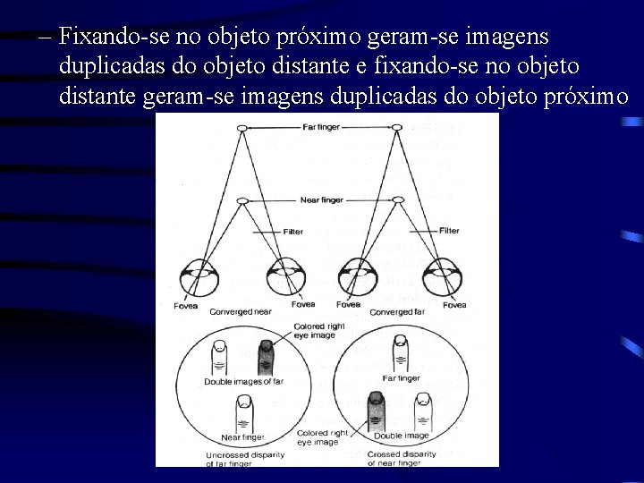 – Fixando-se no objeto próximo geram-se imagens duplicadas do objeto distante e fixando-se no