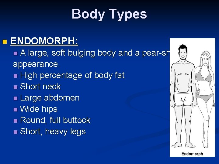 Body Types n ENDOMORPH: A large, soft bulging body and a pear-shaped appearance. n