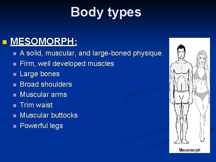 Body types n MESOMORPH: n n n n A solid, muscular, and large-boned physique.