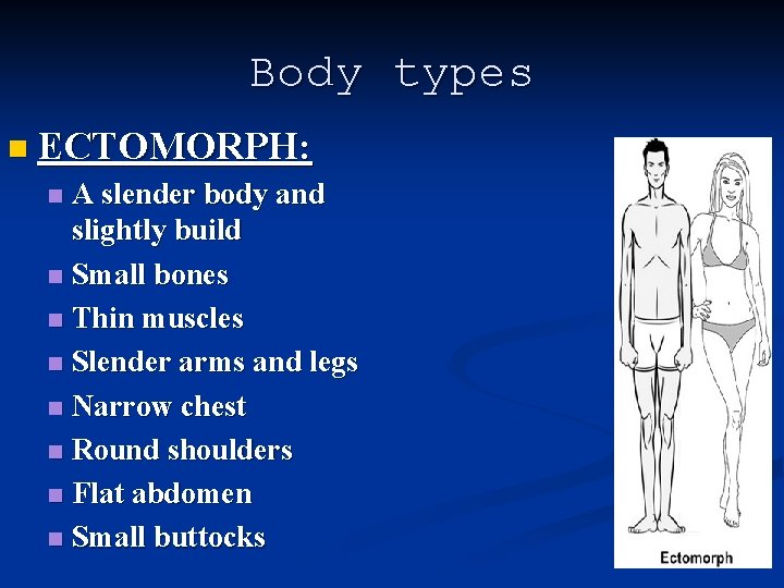 Body types n ECTOMORPH: A slender body and slightly build n Small bones n