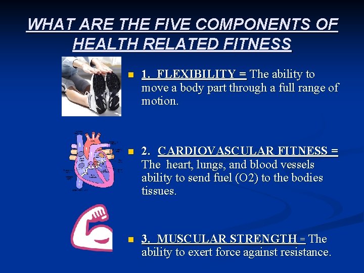 WHAT ARE THE FIVE COMPONENTS OF HEALTH RELATED FITNESS n 1. FLEXIBILITY = The