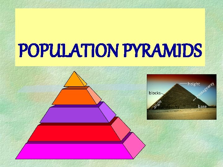 POPULATION PYRAMIDS 