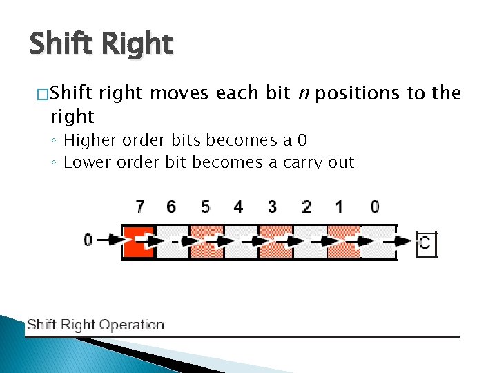 Shift Right � Shift right moves each bit n positions to the ◦ Higher