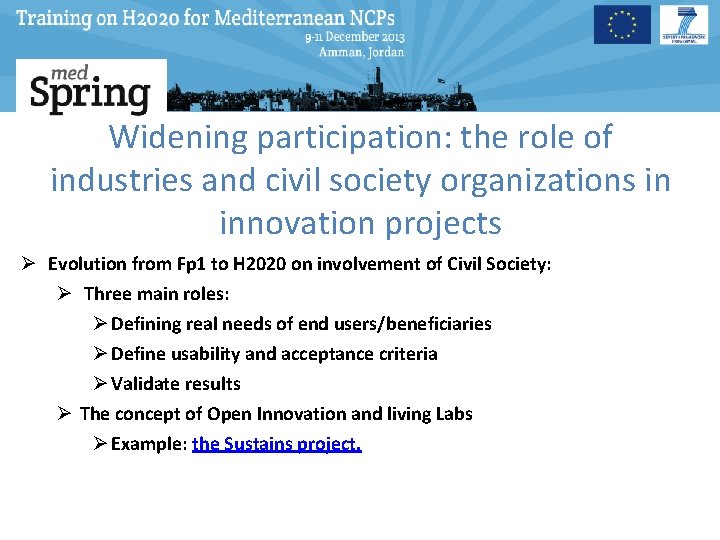 Widening participation: the role of industries and civil society organizations in innovation projects Ø