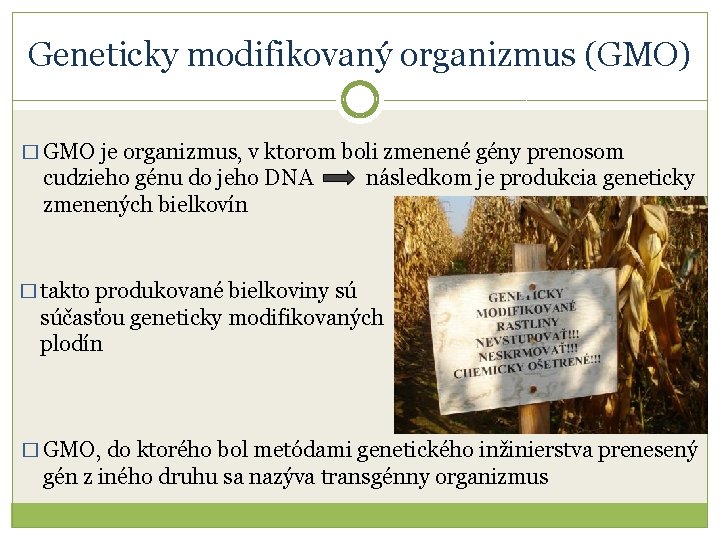 Geneticky modifikovaný organizmus (GMO) � GMO je organizmus, v ktorom boli zmenené gény prenosom
