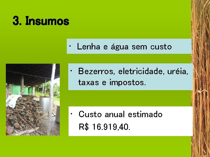 3. Insumos • Lenha e água sem custo • Bezerros, eletricidade, uréia, taxas e