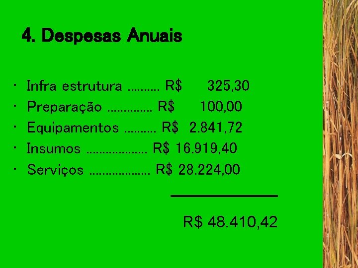 4. Despesas Anuais • • • Infra estrutura. . R$ 325, 30 Preparação. .