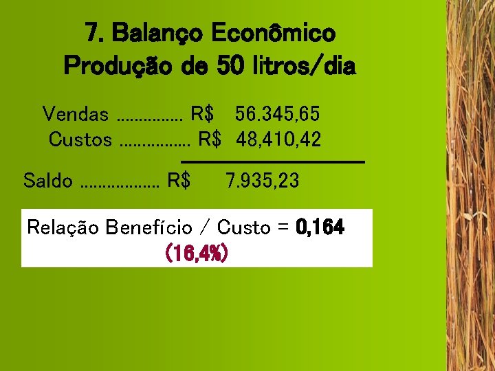 7. Balanço Econômico Produção de 50 litros/dia Vendas. . . . R$ 56. 345,