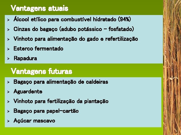 Vantagens atuais Ø Álcool etílico para combustível hidratado (94%) Ø Cinzas do bagaço (adubo