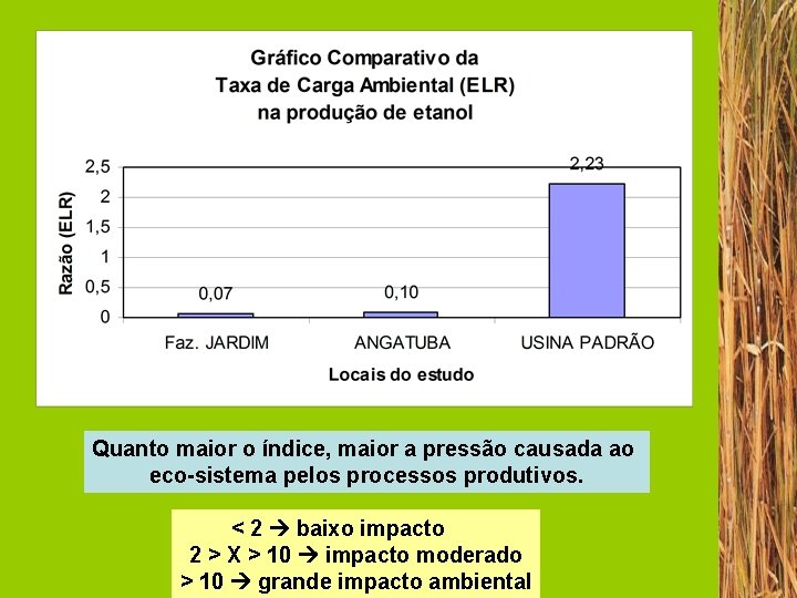 Quanto maior o índice, maior a pressão causada ao eco-sistema pelos processos produtivos. <