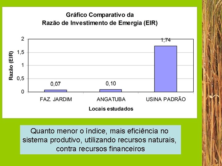 Quanto menor o índice, mais eficiência no sistema produtivo, utilizando recursos naturais, contra recursos
