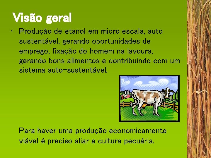 Visão geral • Produção de etanol em micro escala, auto sustentável, gerando oportunidades de