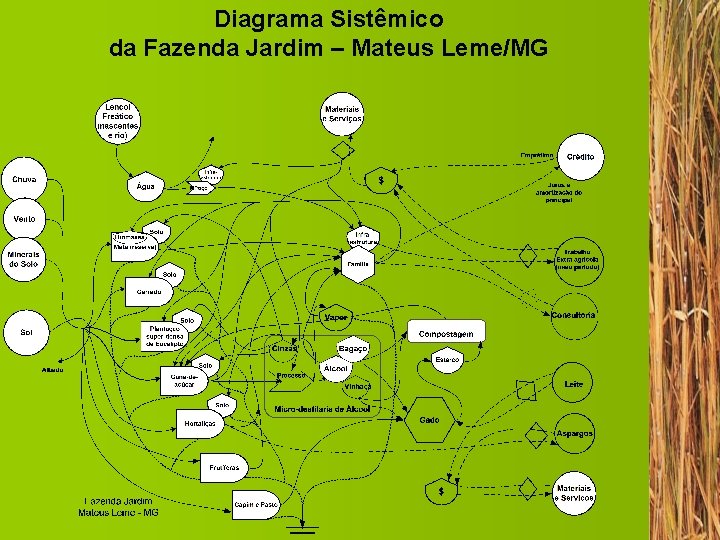 Diagrama Sistêmico da Fazenda Jardim – Mateus Leme/MG 